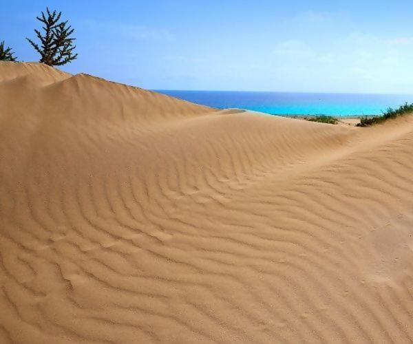 Sol Y Sal De Corralejo (Adults Only) Dış mekan fotoğraf